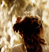 the back of a woman 's head with leaves in it