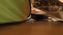Cat Laser Zig Zag GIF - Cat Laser Zig Zag Cole And Marmalade GIFs
