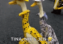 Funny Animals Happy Easter GIF - Funny Animals Happy Easter Easter Dresses GIFs