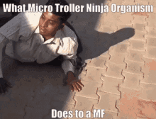 Micro Troller Ninja Organism Troll GIF