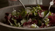 Serve Salad GIF - Serve Salad Healthy Eating GIFs
