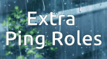 extra ping roles discord roles banner