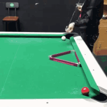 billiard cat
