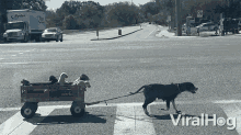 Wagon Ride Viralhog GIF
