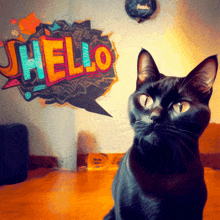 Hello Hi GIF - Hello Hi Cat GIFs