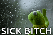 kermit the frog is looking out a window with the words sick bitch written below him