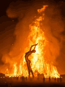 Fire On Fire GIF - Fire On Fire Pose GIFs