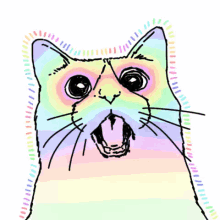 Crazy Cat Shocked GIF - Crazy Cat Shocked Surprised GIFs