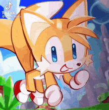 tails sonic boom