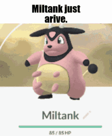 Miltank Just Arive Miltank GIF - Miltank Just Arive Miltank Pokemon GIFs