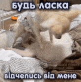 a dog laying on a bed with a caption that says " будь lacka "