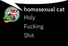 a picture of a cat with the words homosexual cat holy fucking shit on it