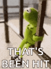 kermit the frog is sitting on a railing holding onto a railing and says `` that 's been hit '' .