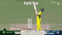 Cricket Wickets GIF - Cricket Wickets Undoes Your Wicket GIFs