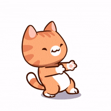 dance cat