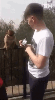 Monkey Slap This Is Happening GIF - Monkey Slap This Is Happening Snatch Food GIFs