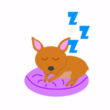 dog brown cartoon dachshund sleep