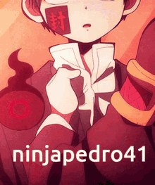 ninjapedro41