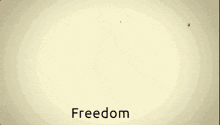 Freedom Explosion GIF - Freedom Explosion Boom GIFs