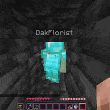 a screenshot of a video game with the name oakflorist on the top