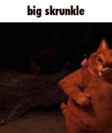 Big Skrunkle GIF