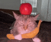 Apple Banana GIF - Apple Banana Cat GIFs