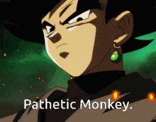 a picture of a cartoon character with the words pathetic monkey