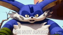 Im Not Angry Big The Cat GIF - Im Not Angry Big The Cat Sonic Prime GIFs