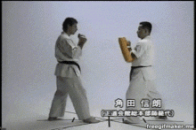 Karate Karate Kid GIF - Karate Karate Kid Kyokushin GIFs