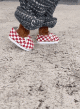 Dog In Shoes Dogcroc GIF - Dog In Shoes Dogcroc Pretty Fly GIFs