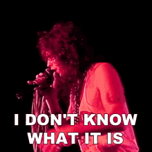 I Dont Know What It Is Steven Tyler GIF - I Dont Know What It Is Steven Tyler Aerosmith GIFs