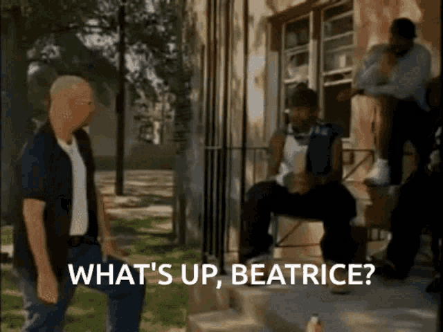 Whats Up Beatrice Birdman GIF Whats Up Beatrice Whats Up Birdman Discover Share GIFs