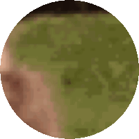 a pixelated image of a person 's face in a circle on a white background