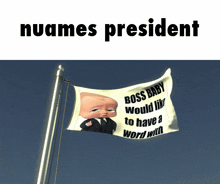 Nuames Flag GIF - Nuames Flag Boss Baby GIFs