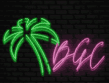 a neon sign with a palm tree and the word bgc on a black brick wall .