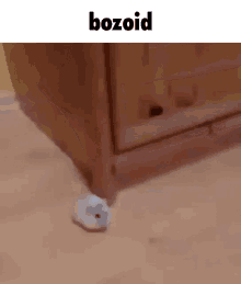 Bozoid Hamster GIF - Bozoid Hamster Fast GIFs