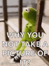 kermit the frog is sitting on a railing looking out a window .