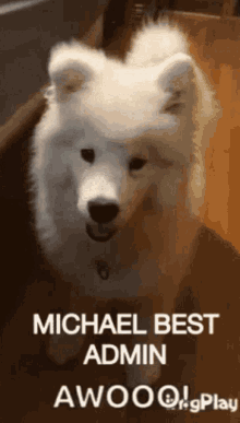 Michael Best GIF - Michael Best Admin GIFs