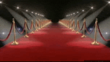 Fmjay Red Carpet GIF - Fmjay Red Carpet GIFs