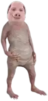 a man in a pig costume is standing with his hands on his hips on a white background