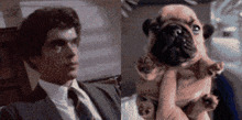 a man in a suit and tie is holding a small pug puppy