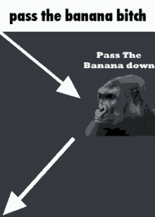 Monkey Pass GIF - Monkey Pass Banana GIFs