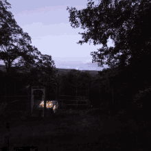 a full moon is visible in the night sky above a dark forest