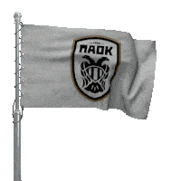 Paok Gif παοκ Sticker - Paok Gif παοκ Stickers