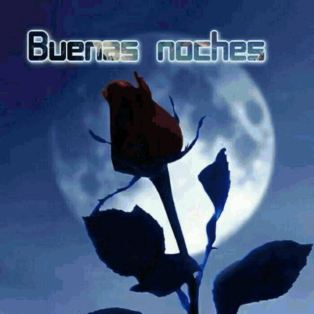 Buenas Noches Rosas GIF - Buenas Noches Rosas Rose - Discover & Share GIFs