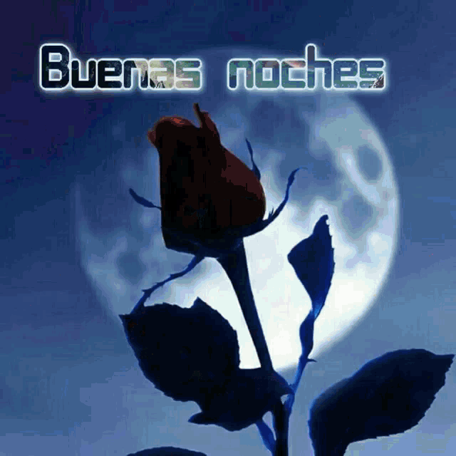 Flor y Luna - Buenas noches..