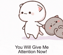 attention give me attention