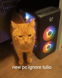 an orange cat standing next to a computer case that says g1 on it