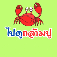 a red crab with googly eyes is on a green background with chinese writing underneath it