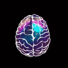 Celebro Brain GIF
